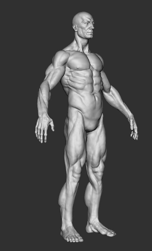 Man Male 3D model_3