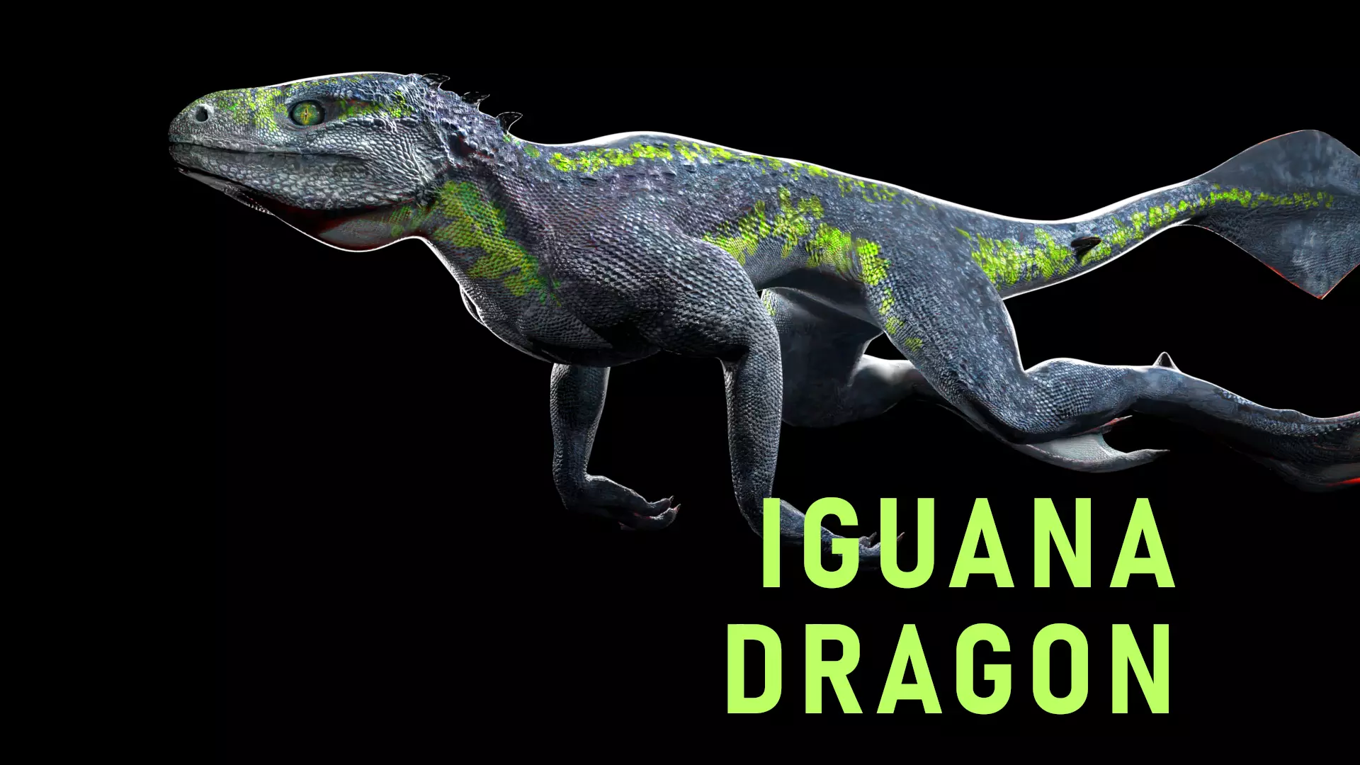 Iguana Dragon Low-poly 3D model_0