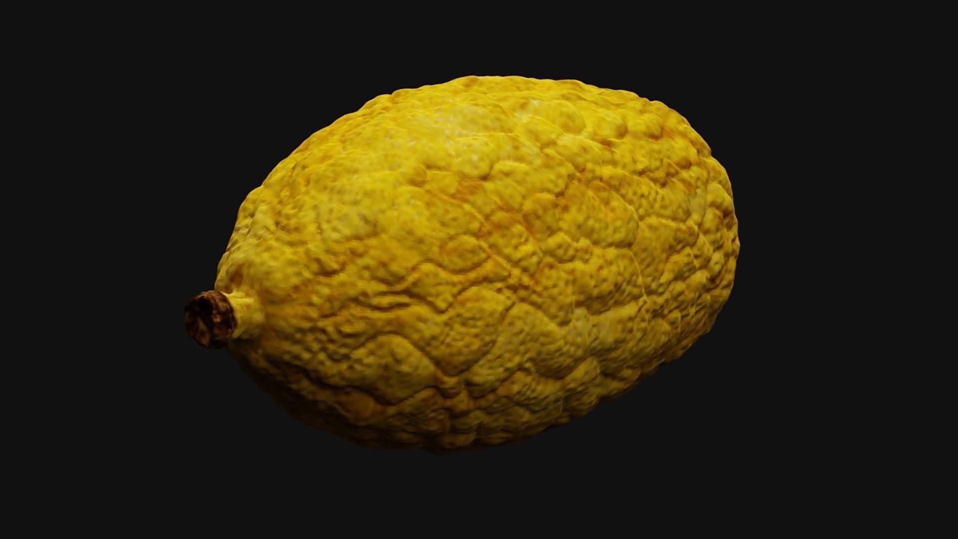 Etrog - Citrus medica 3D model_4