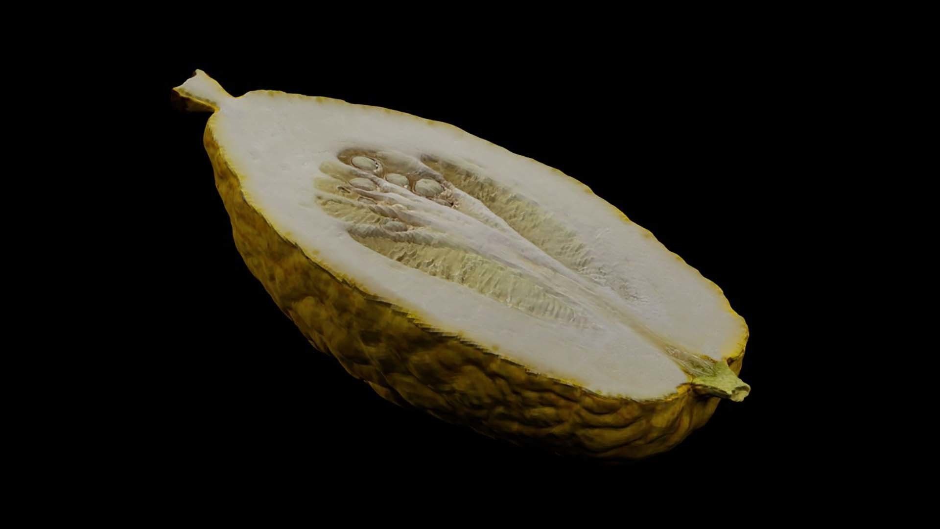 Etrog - Citrus medica 3D model_7