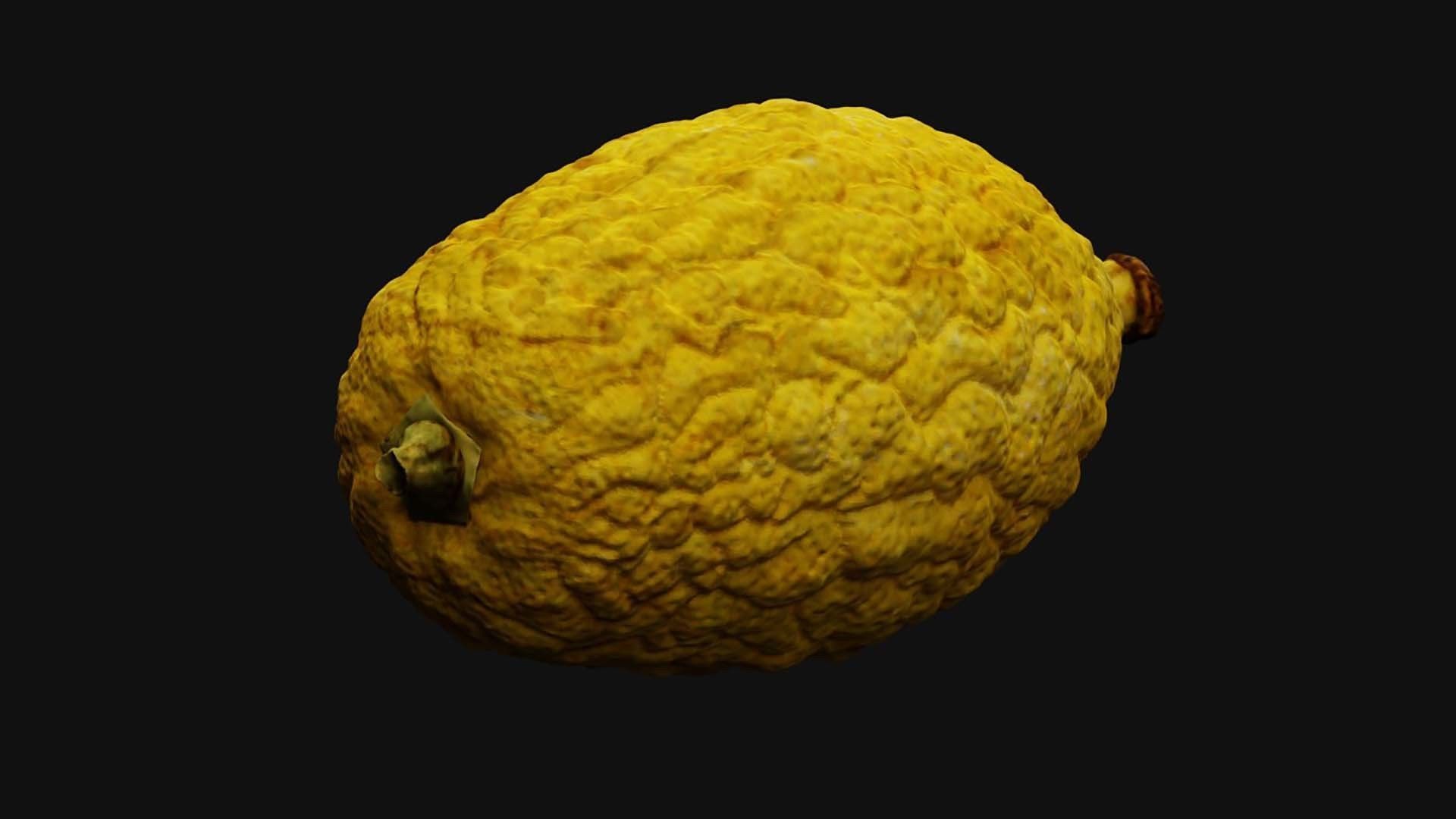 Etrog - Citrus medica 3D model_3