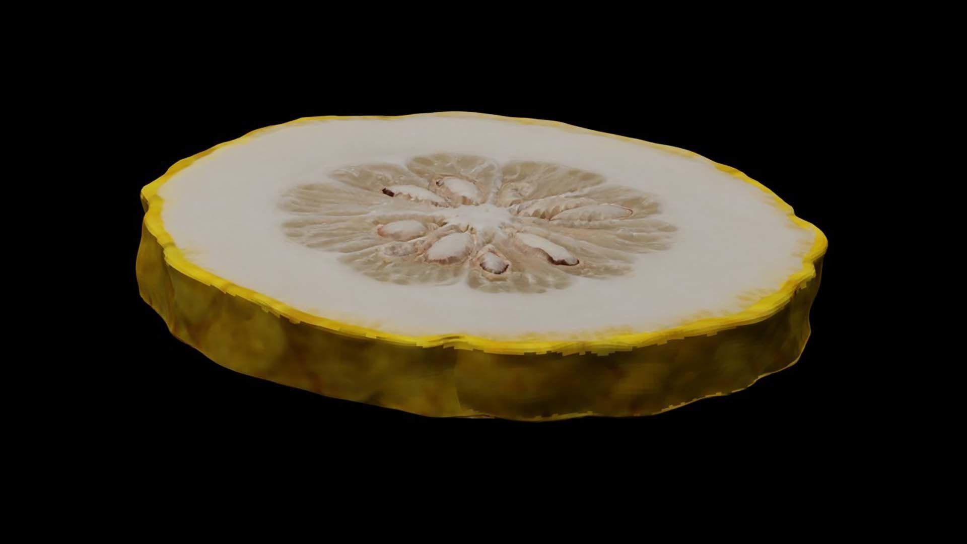 Etrog - Citrus medica 3D model_8