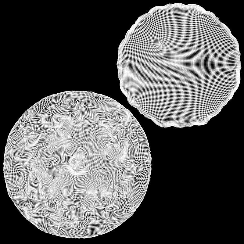 Etrog - Citrus medica 3D model_17