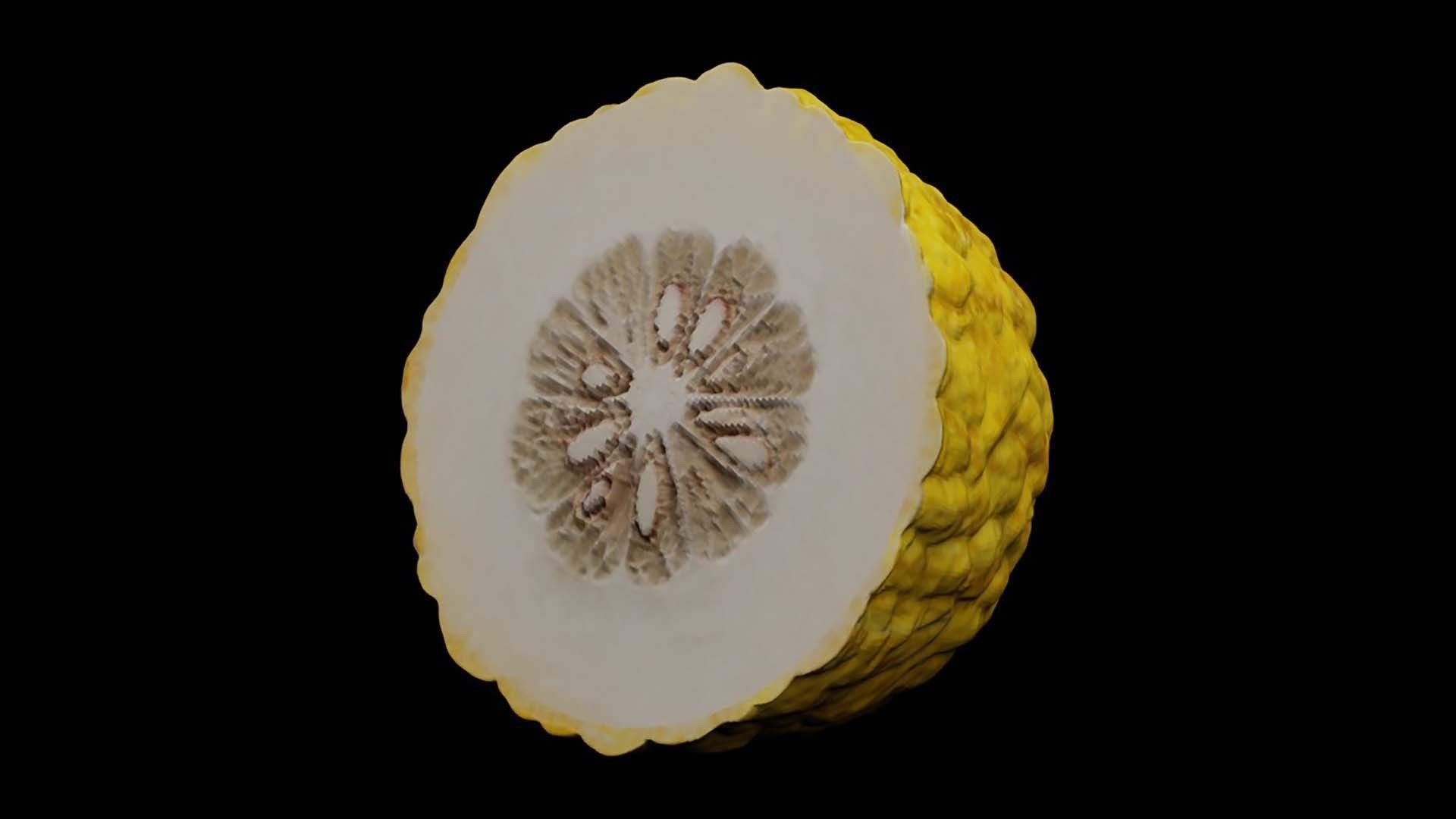 Etrog - Citrus medica 3D model_5