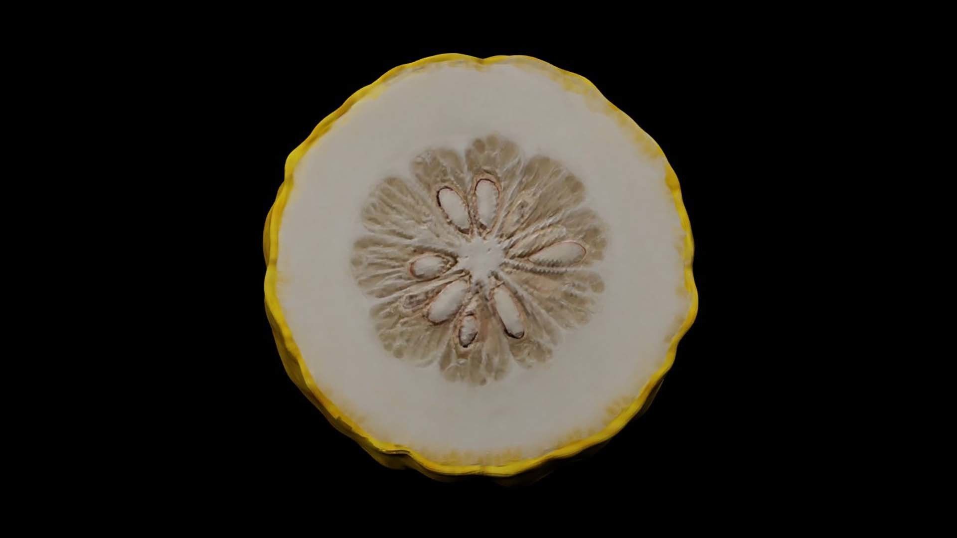 Etrog - Citrus medica 3D model_9