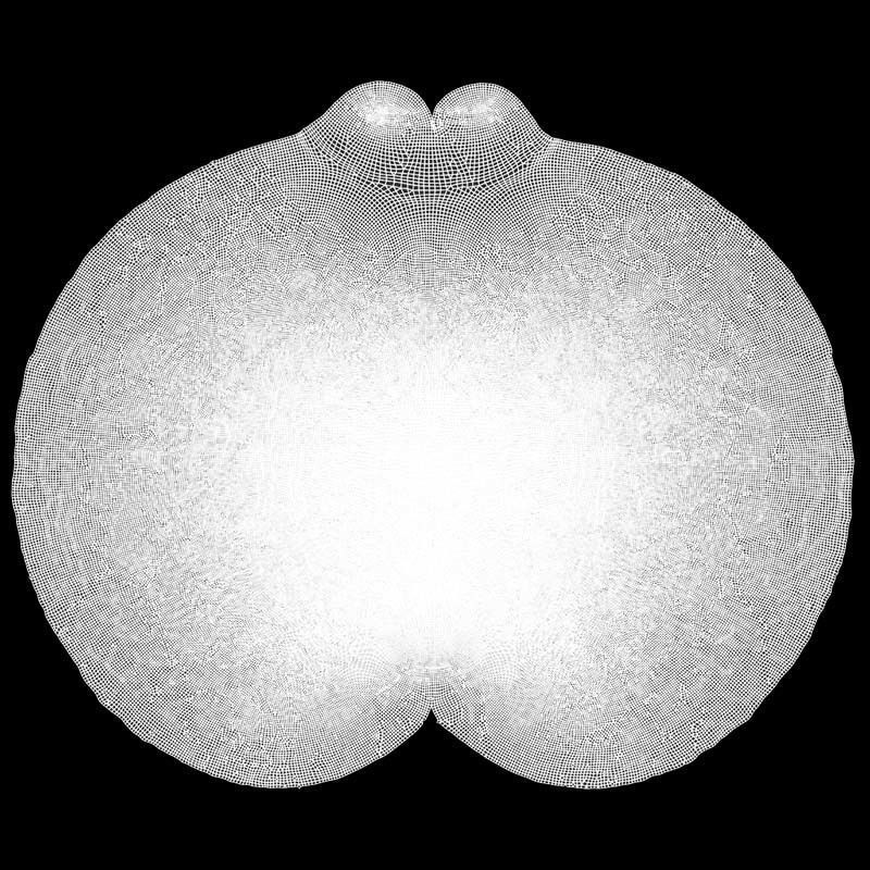 Etrog - Citrus medica 3D model_16