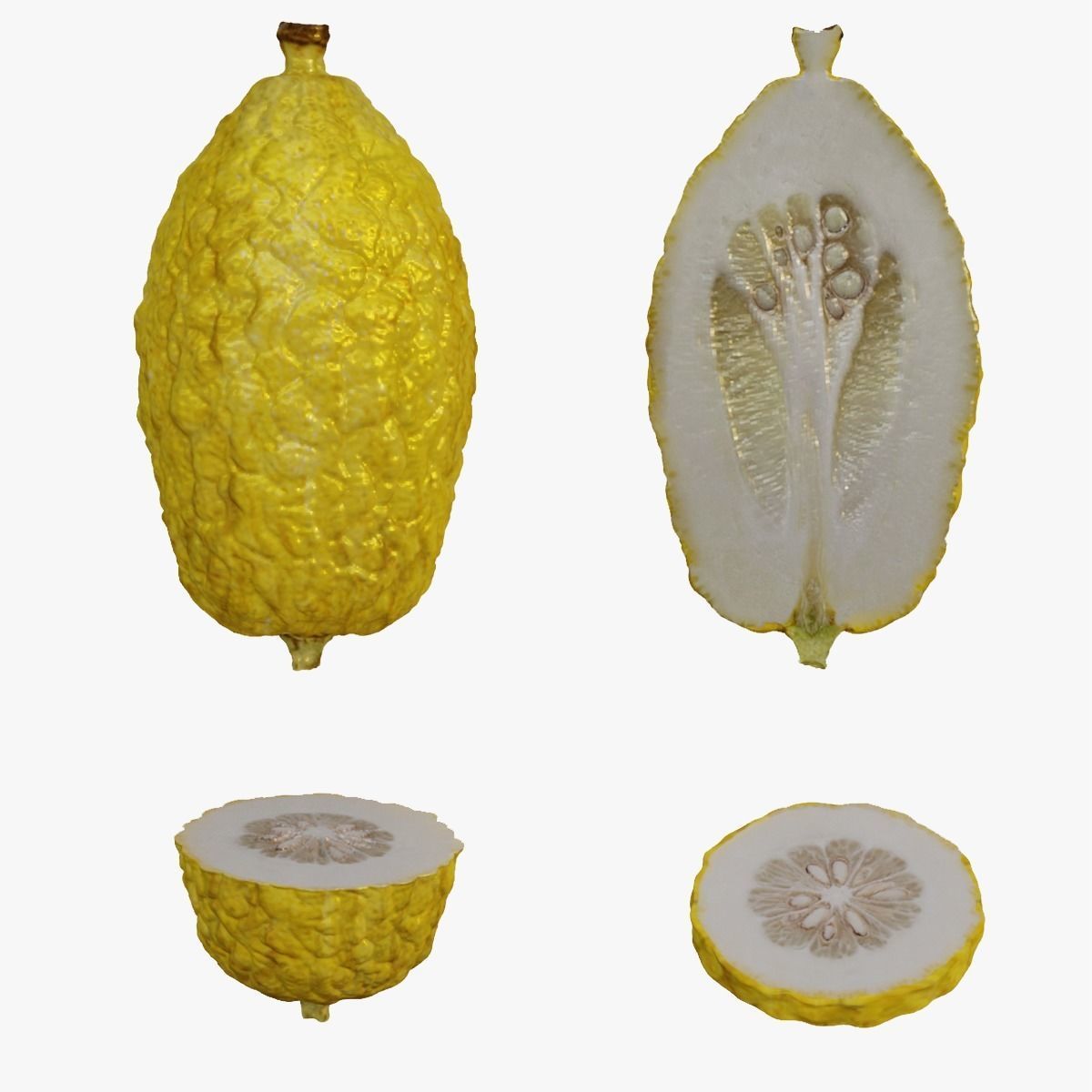 Etrog - Citrus medica 3D model_1