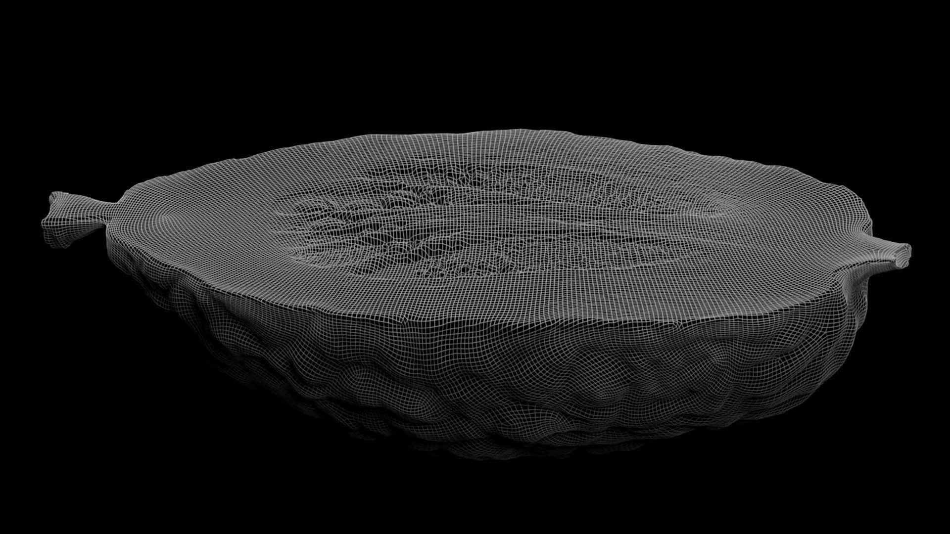 Etrog - Citrus medica 3D model_13