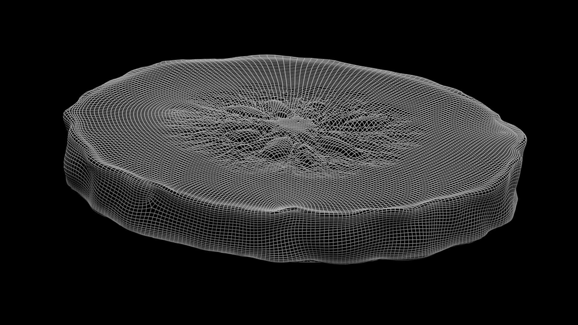 Etrog - Citrus medica 3D model_10