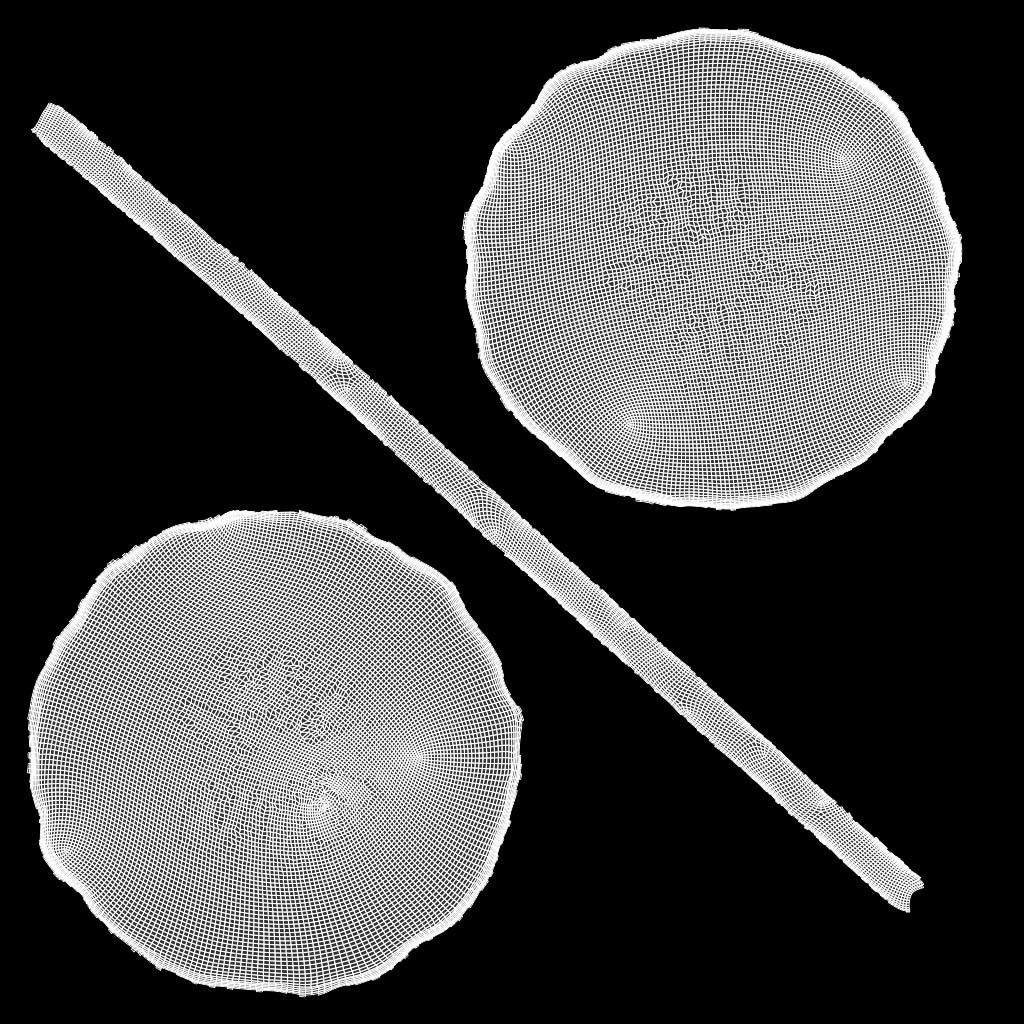Etrog - Citrus medica 3D model_18