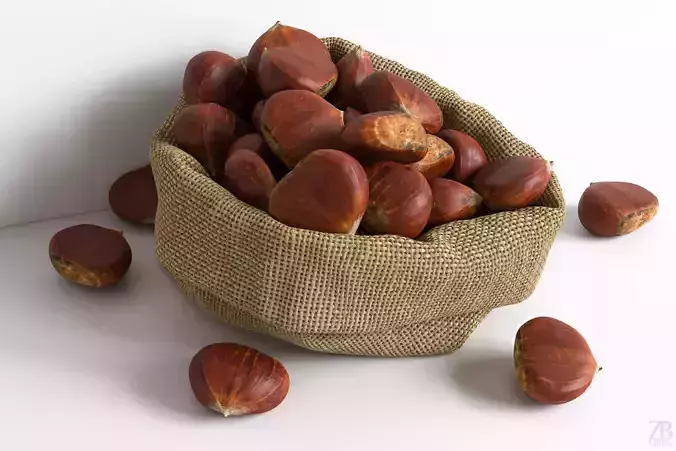 Chestnut 3D model
