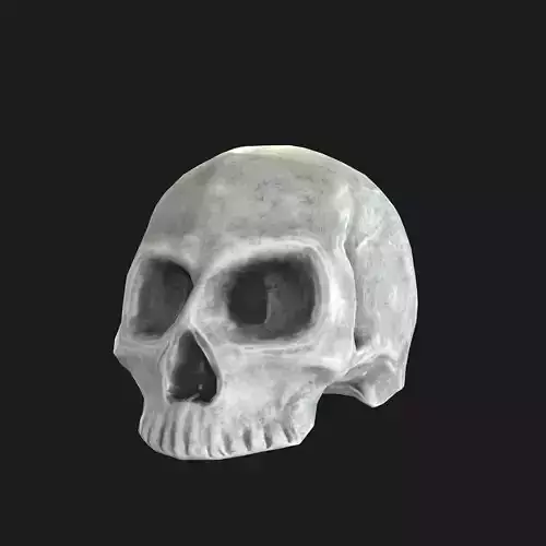 Stylized Skull