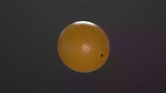 Orange 3D Model