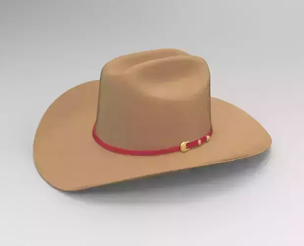 Cowboy Hat 3D model