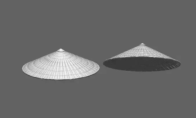 Chinese Oriental  Asian conical hat Ztool