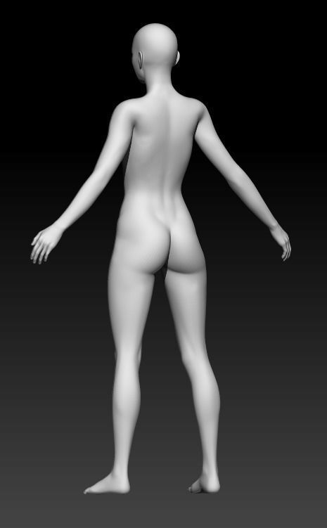 Female Base Mesh 3D model_3