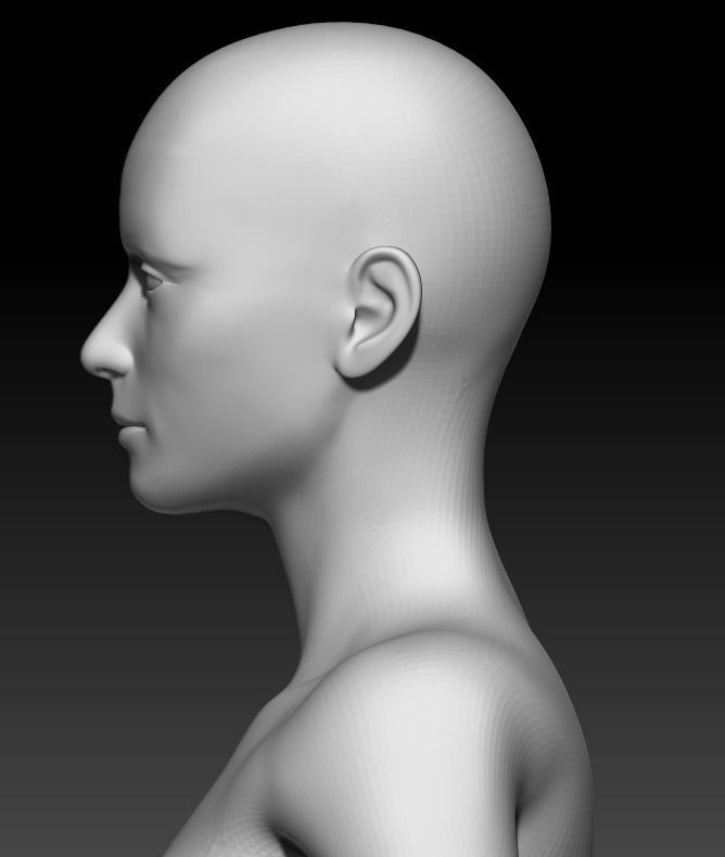 Female Base Mesh 3D model_6