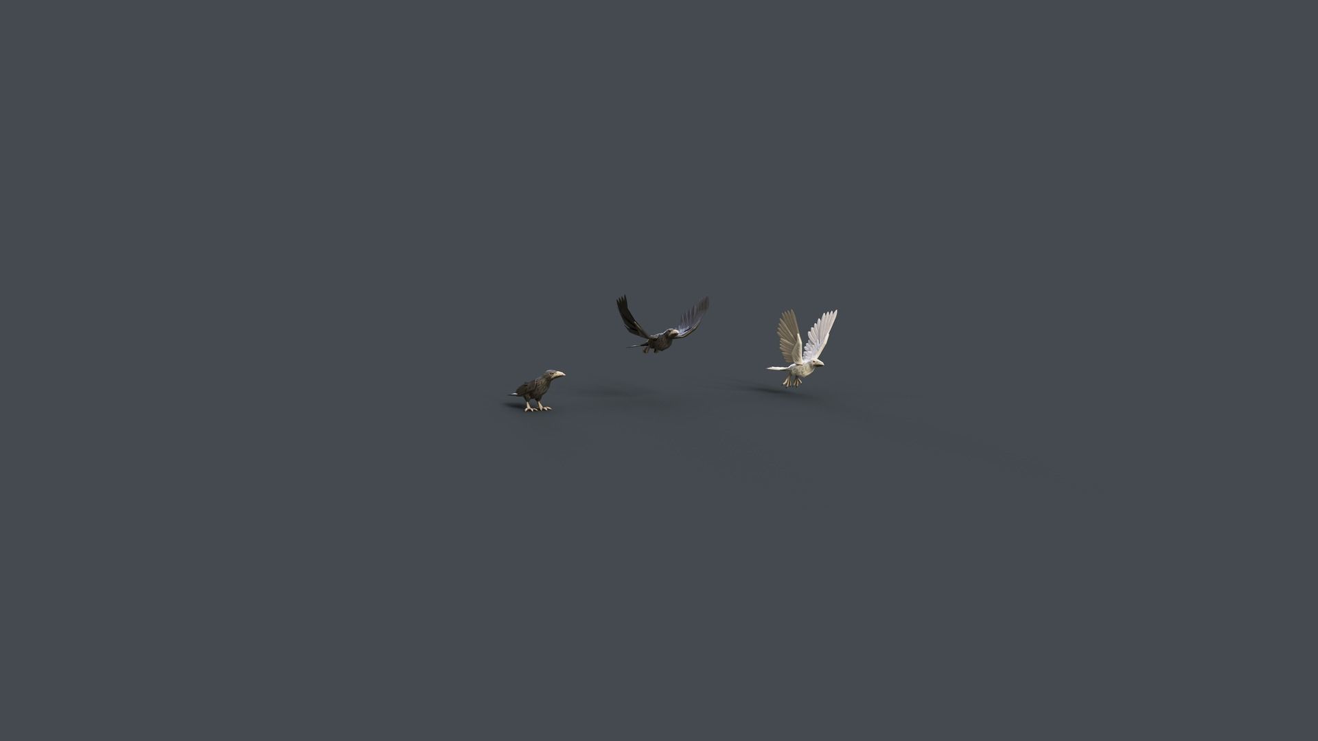 Mobile Animals 3D Model Collection_10