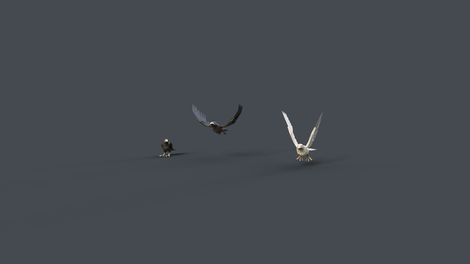 Mobile Animals 3D Model Collection_12