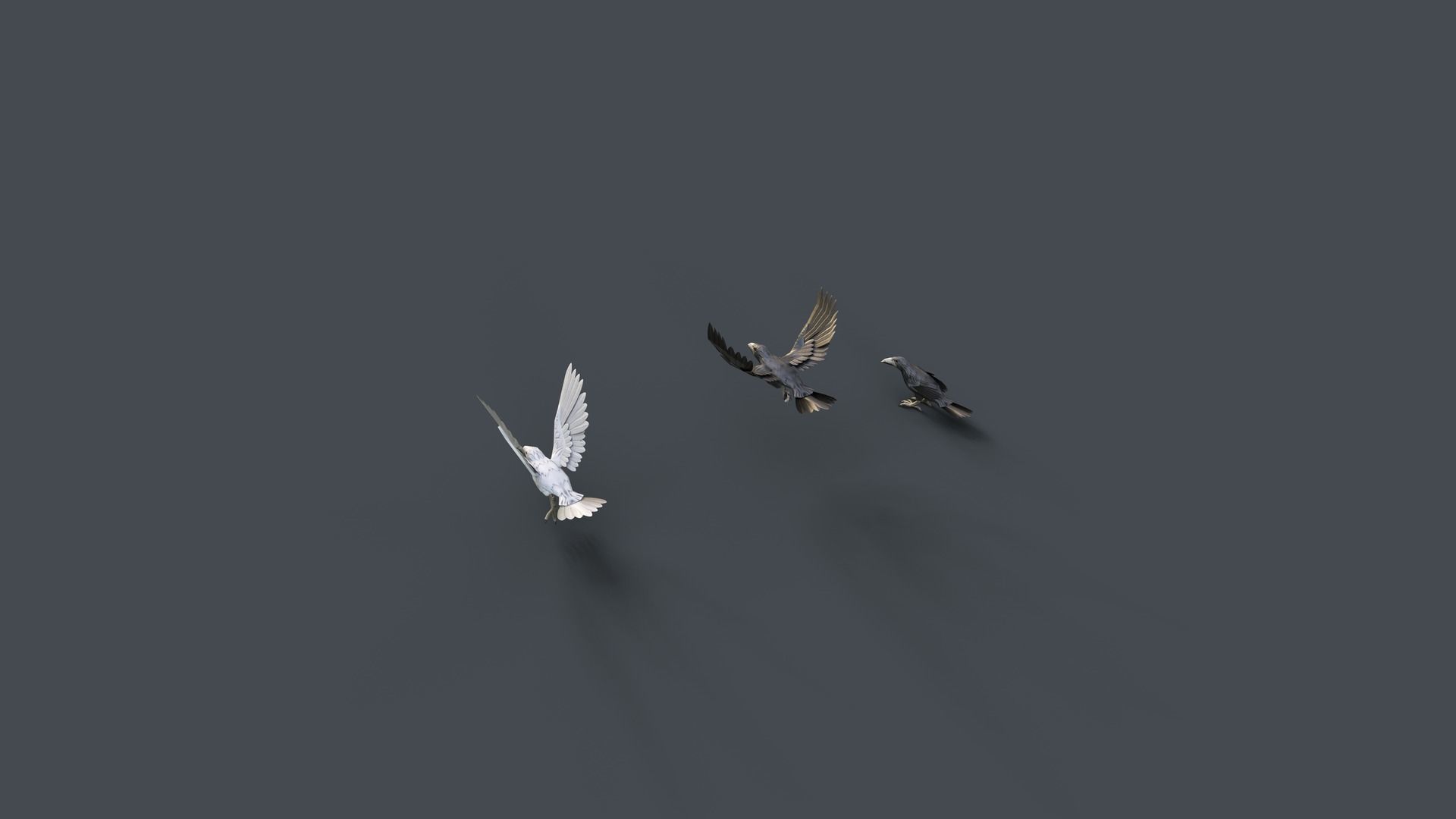 Mobile Animals 3D Model Collection_14