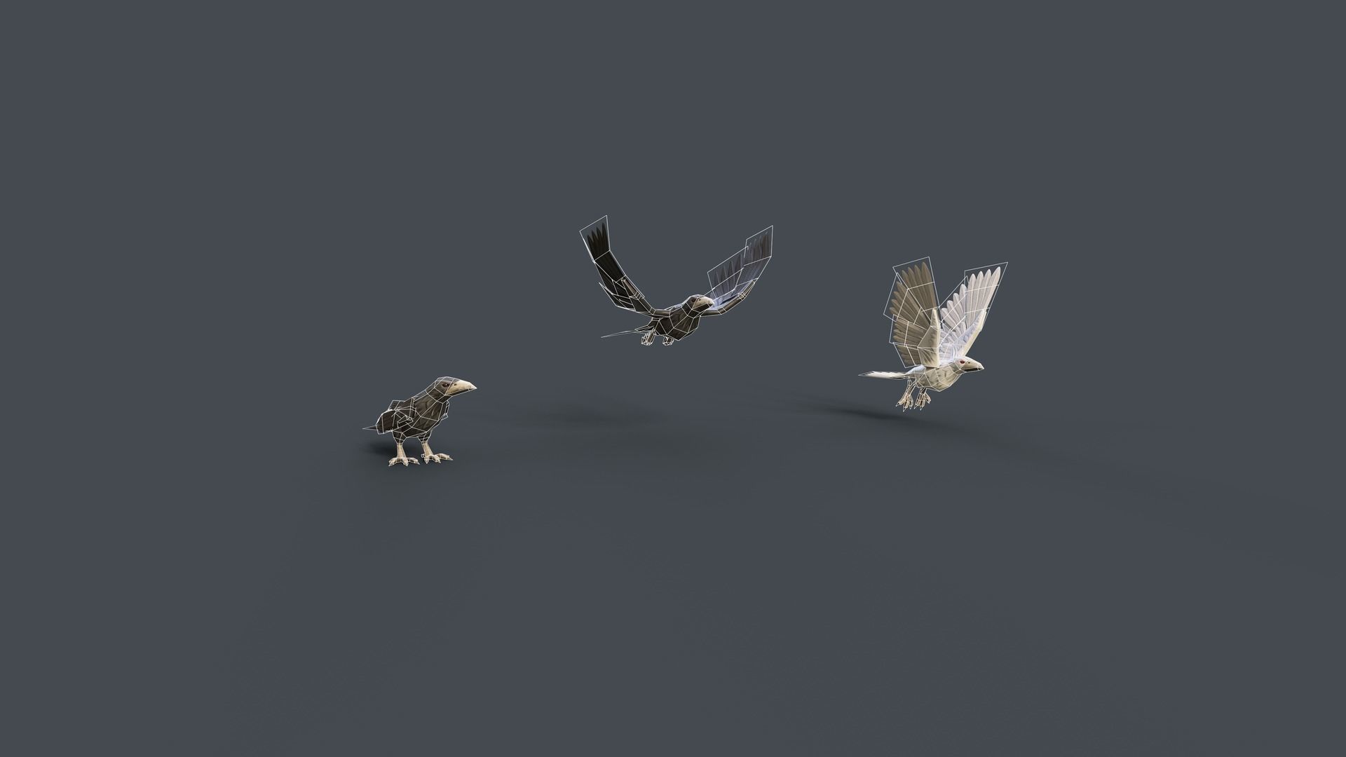 Mobile Animals 3D Model Collection_16