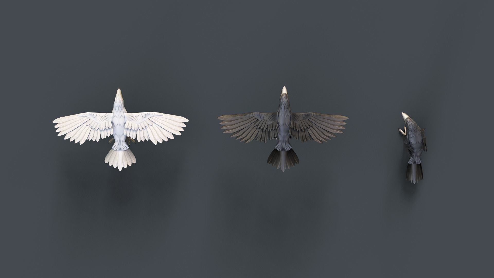 Mobile Animals 3D Model Collection_20