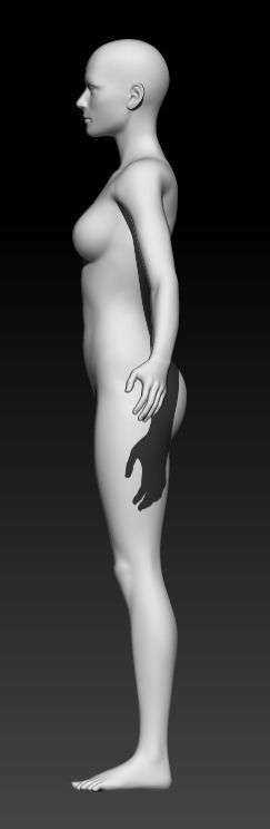 Female Base Mesh 2 3D model_2