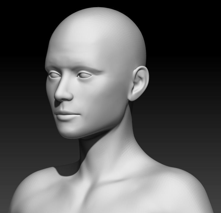 Female Base Mesh 2 3D model_5