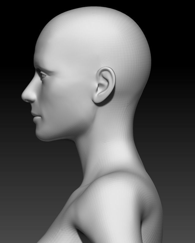 Female Base Mesh 2 3D model_6