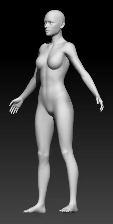 Female Base Mesh 2 3D model_0