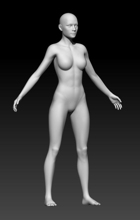 Female Base Mesh 2 3D model_4