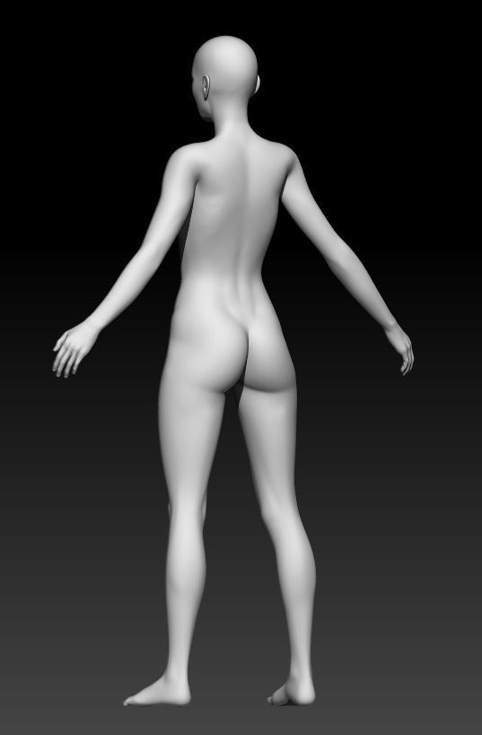 Female Base Mesh 3 3D model_3