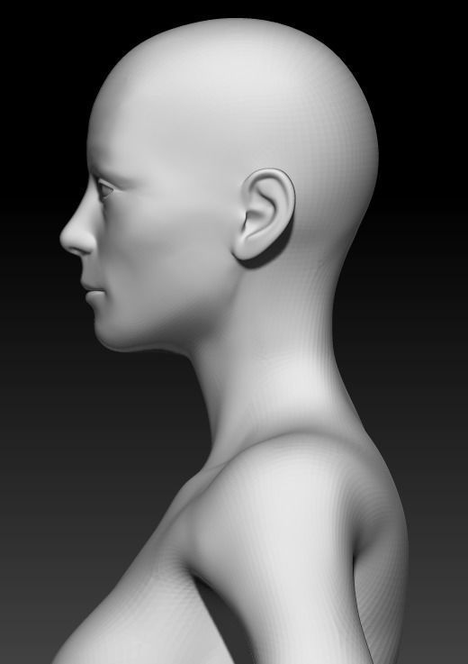 Female Base Mesh 3 3D model_6