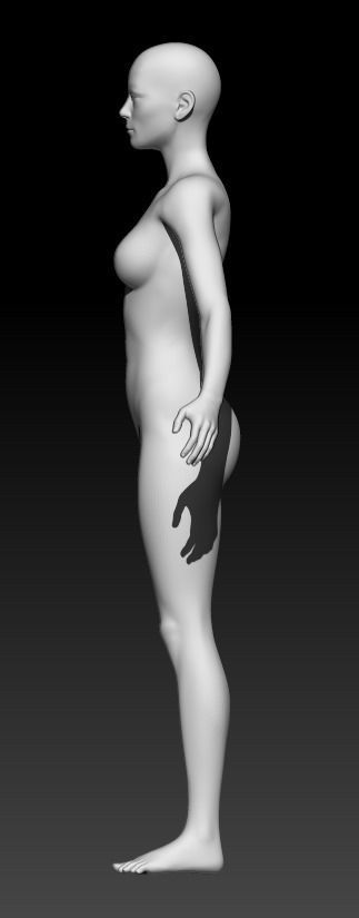 Female Base Mesh 3 3D model_2
