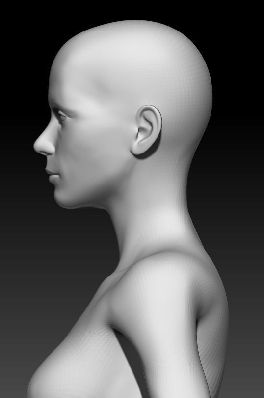 Female Base Mesh 4 3D model_6