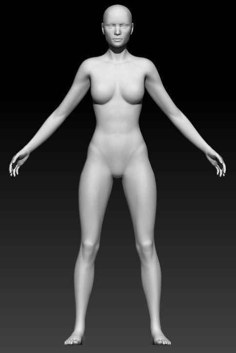 Female Base Mesh 5 3D model_1