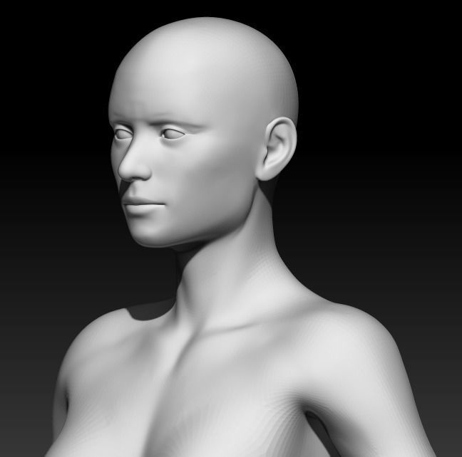 Female Base Mesh 5 3D model_5