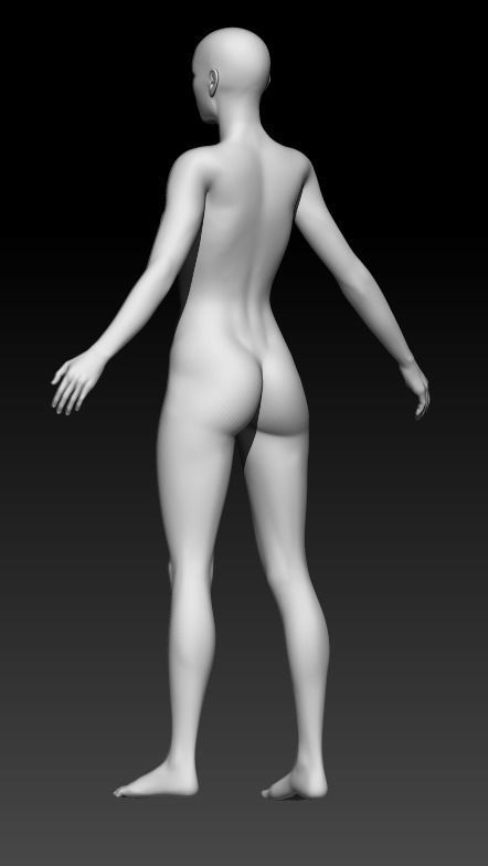 Female Base Mesh 5 3D model_3