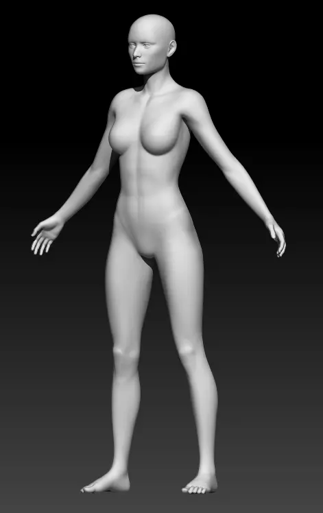 Female Base Mesh 5 3D model_0
