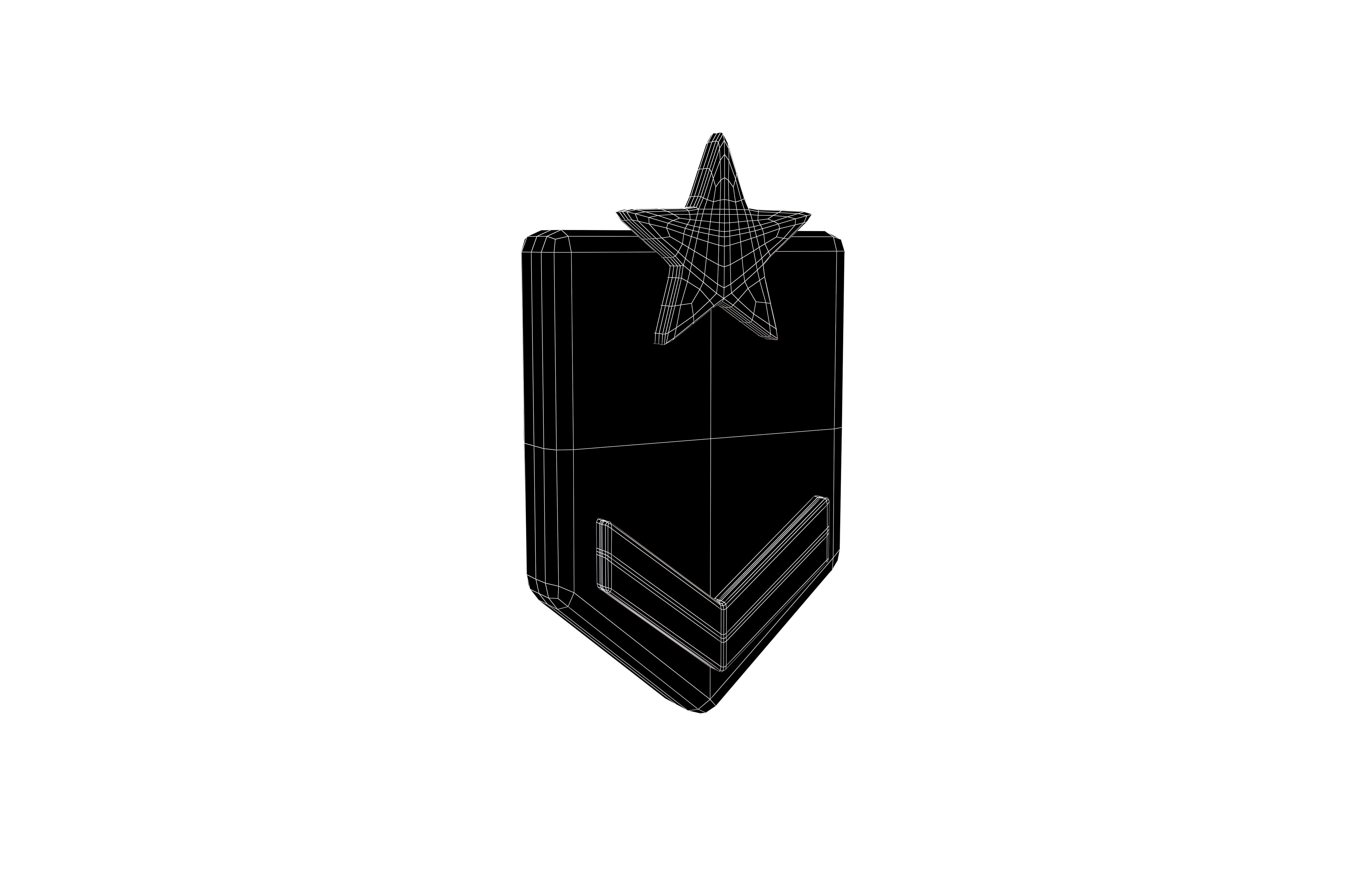Rank Medal v6 002 Low-poly 3D model_5