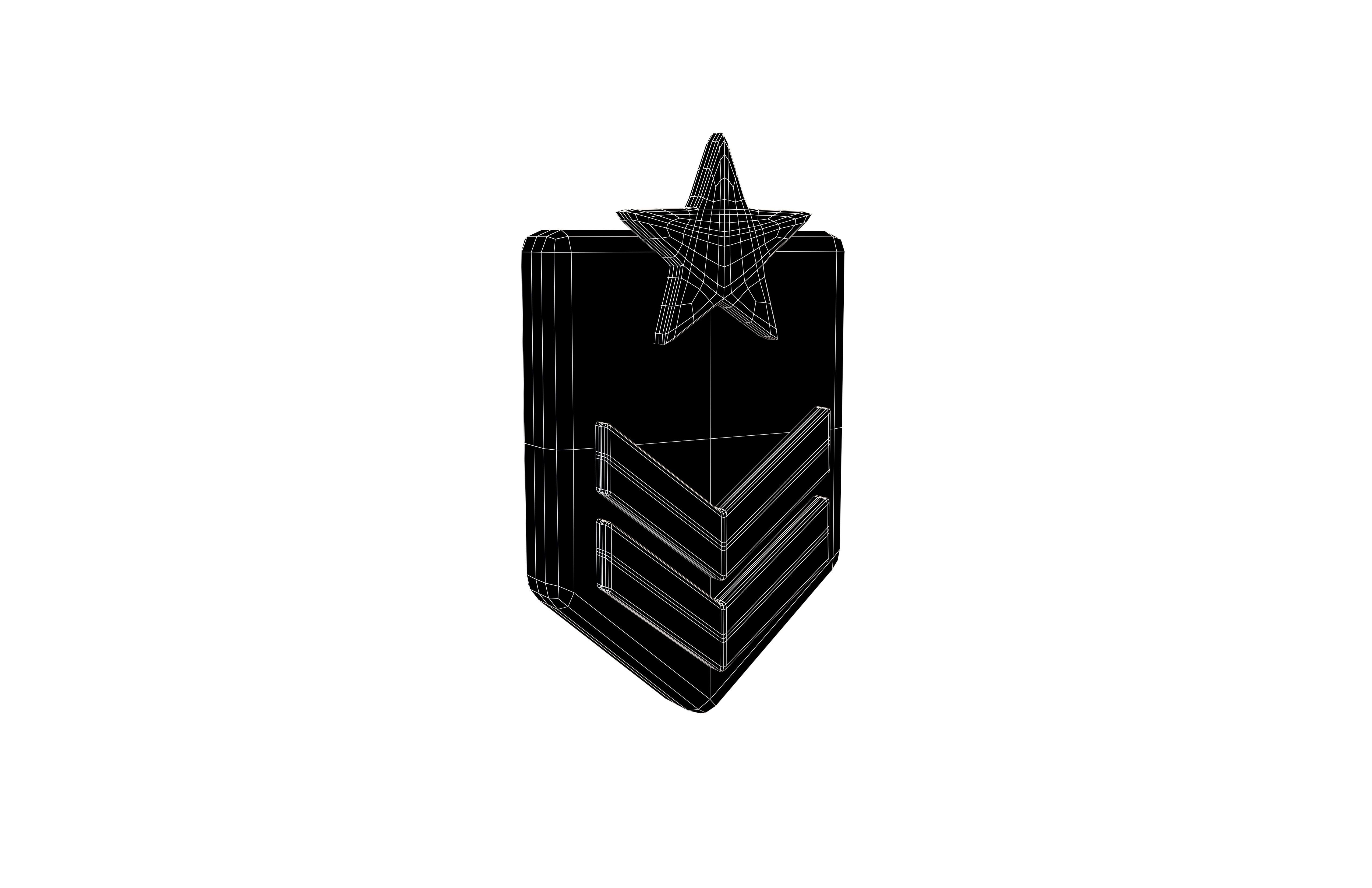 Rank Medal v7 004 Low-poly 3D model_6