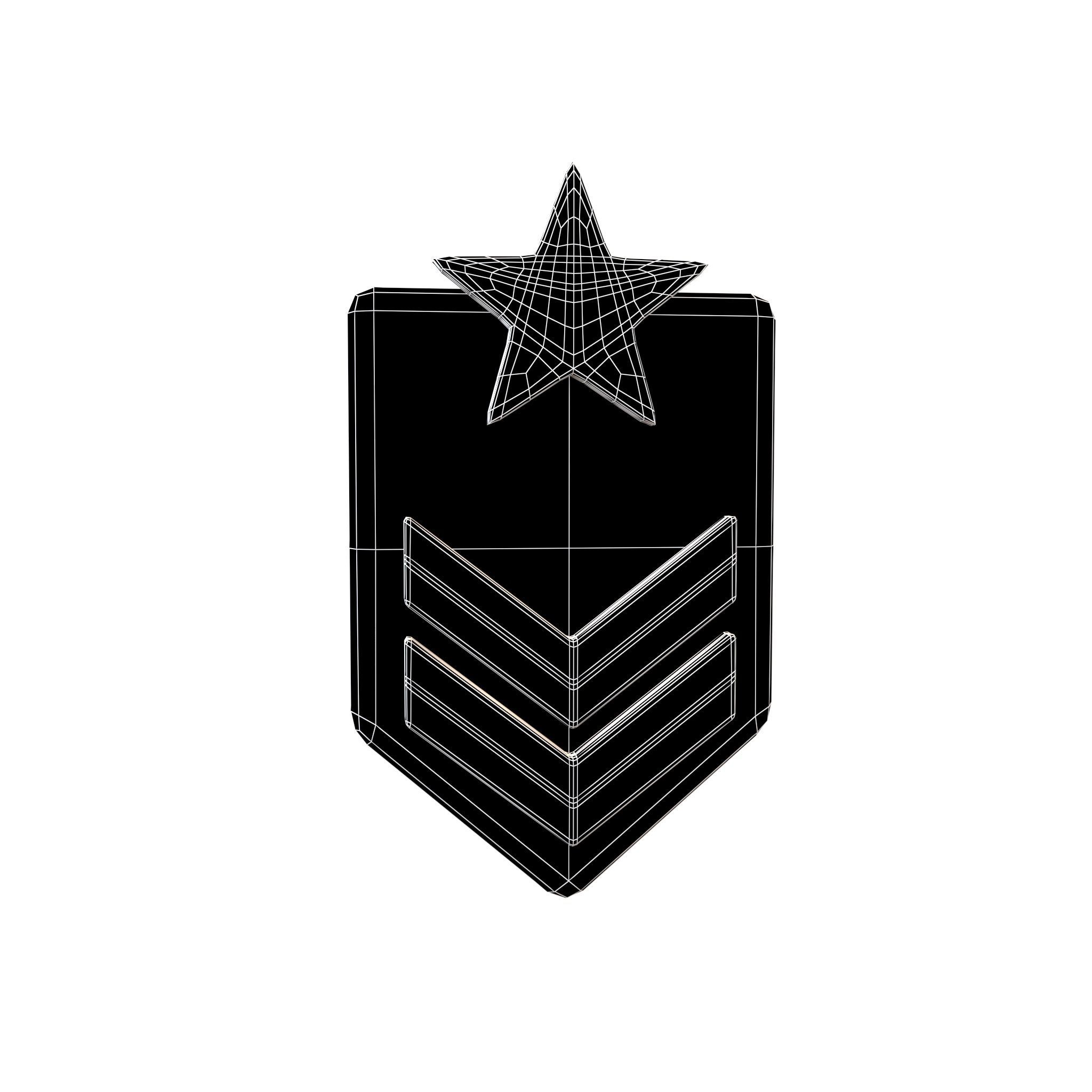 Rank Medal v7 007 Low-poly 3D model_4