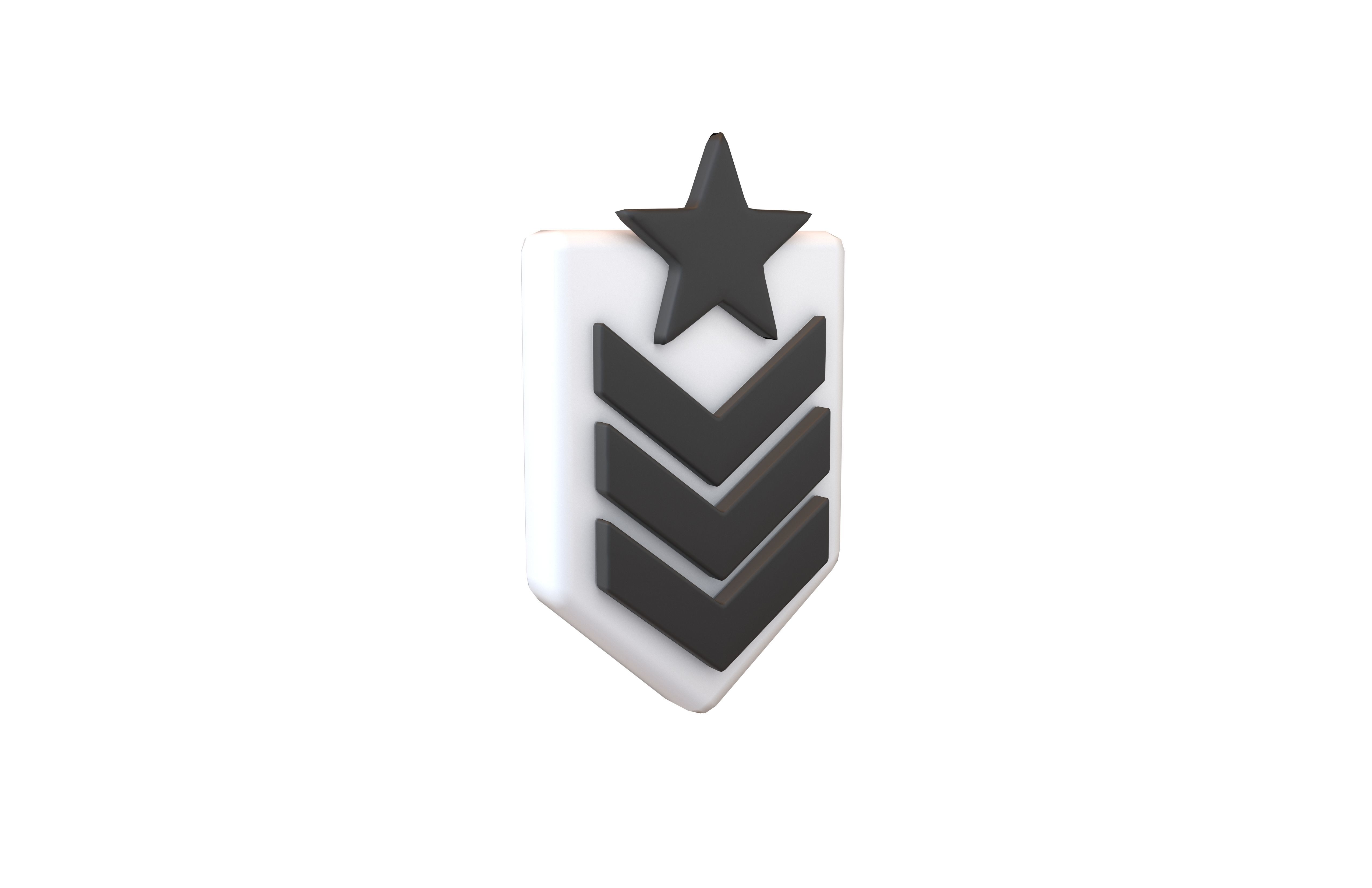 Rank Medal v8 001 Low-poly 3D model_1