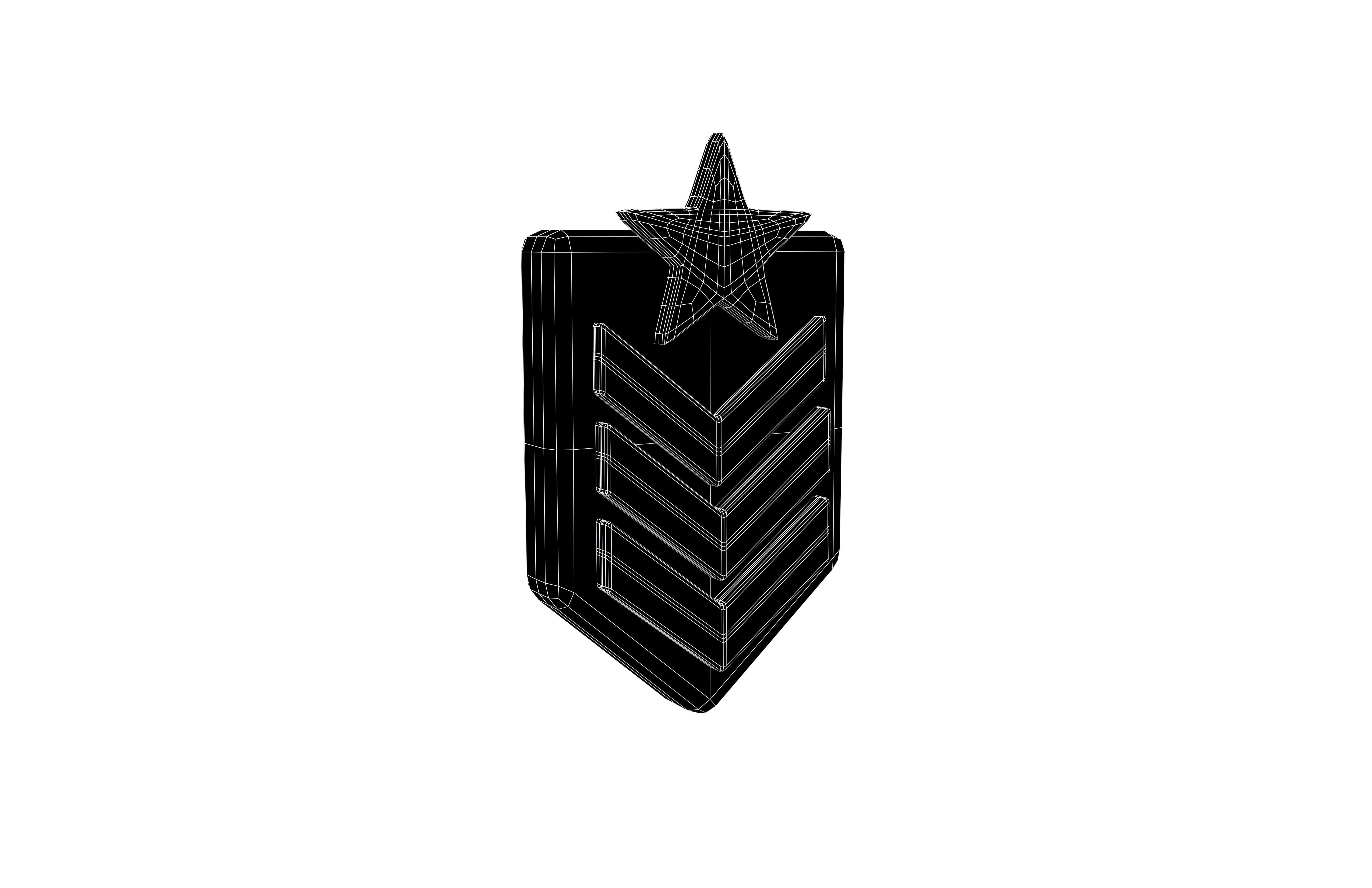 Rank Medal v8 001 Low-poly 3D model_5