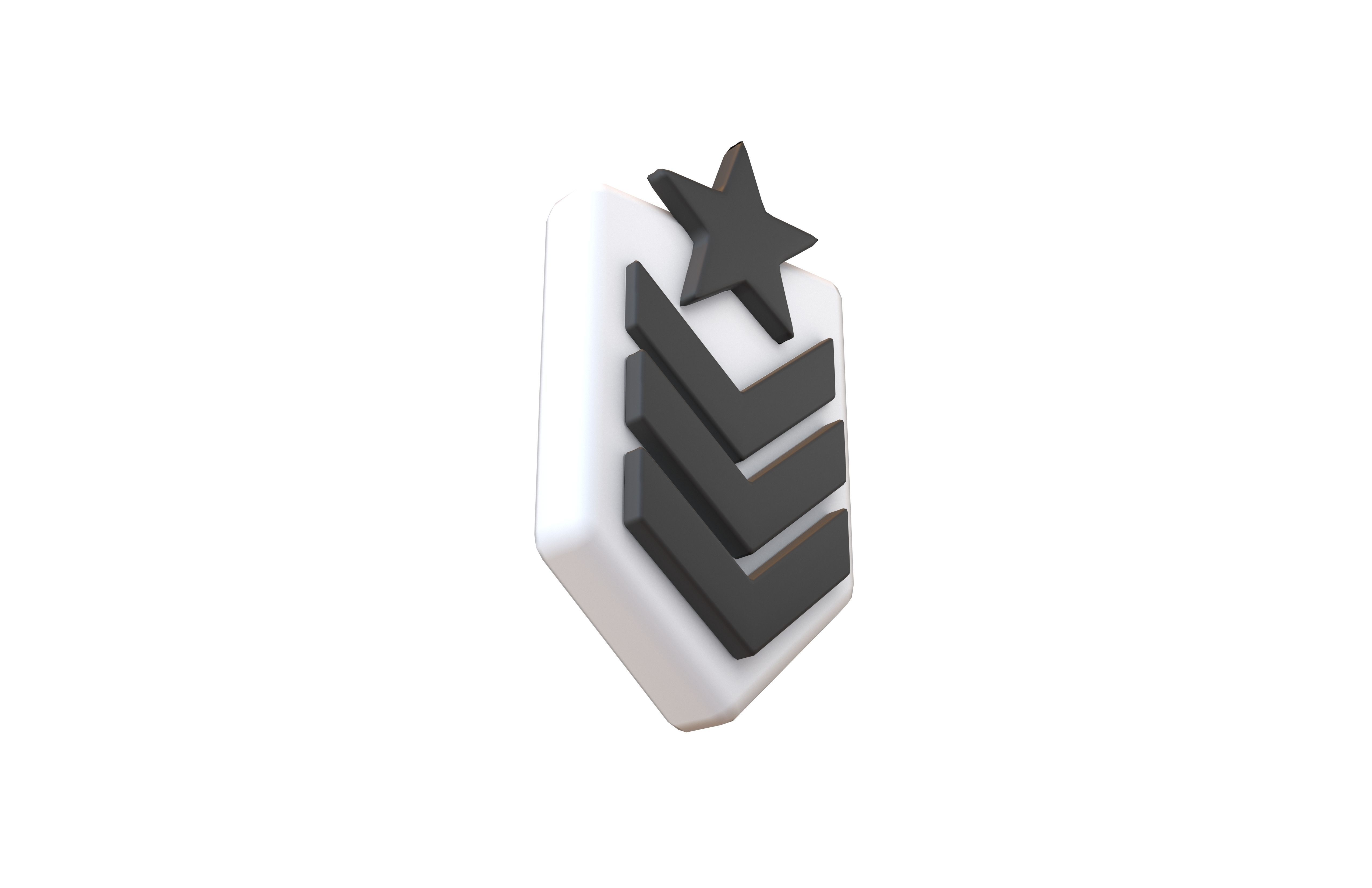 Rank Medal v8 001 Low-poly 3D model_3