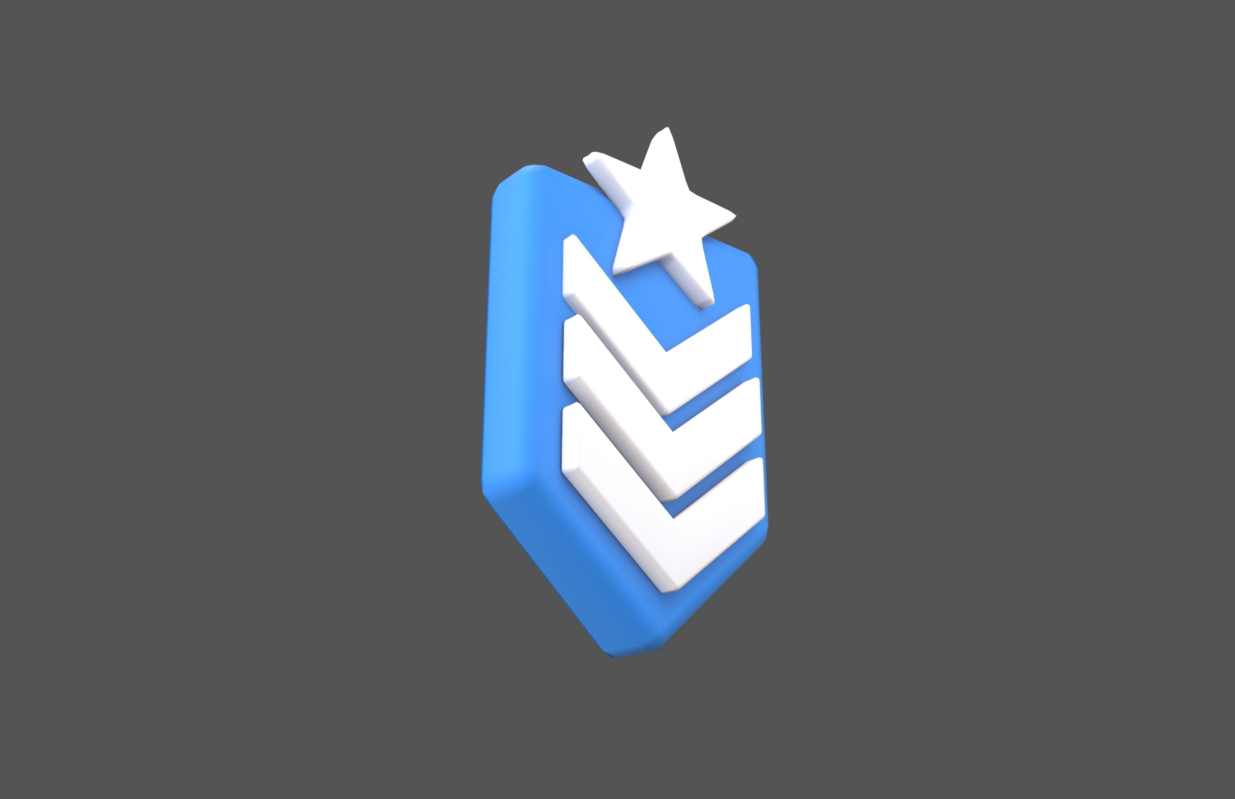 Rank Medal v8 003 Low-poly 3D model_3