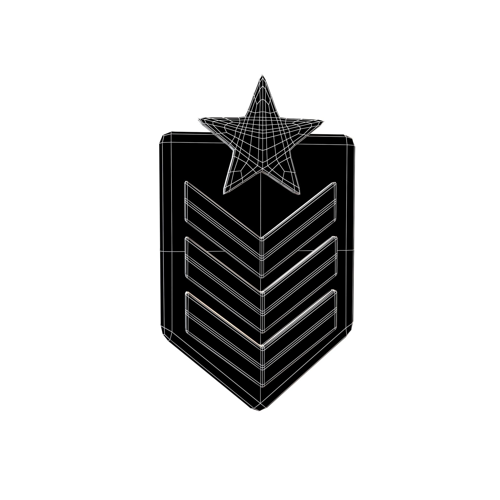 Rank Medal v8 008 Low-poly 3D model_4