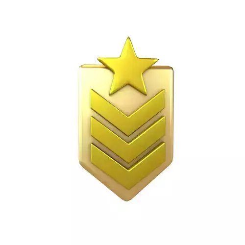 Rank Medal v8 008