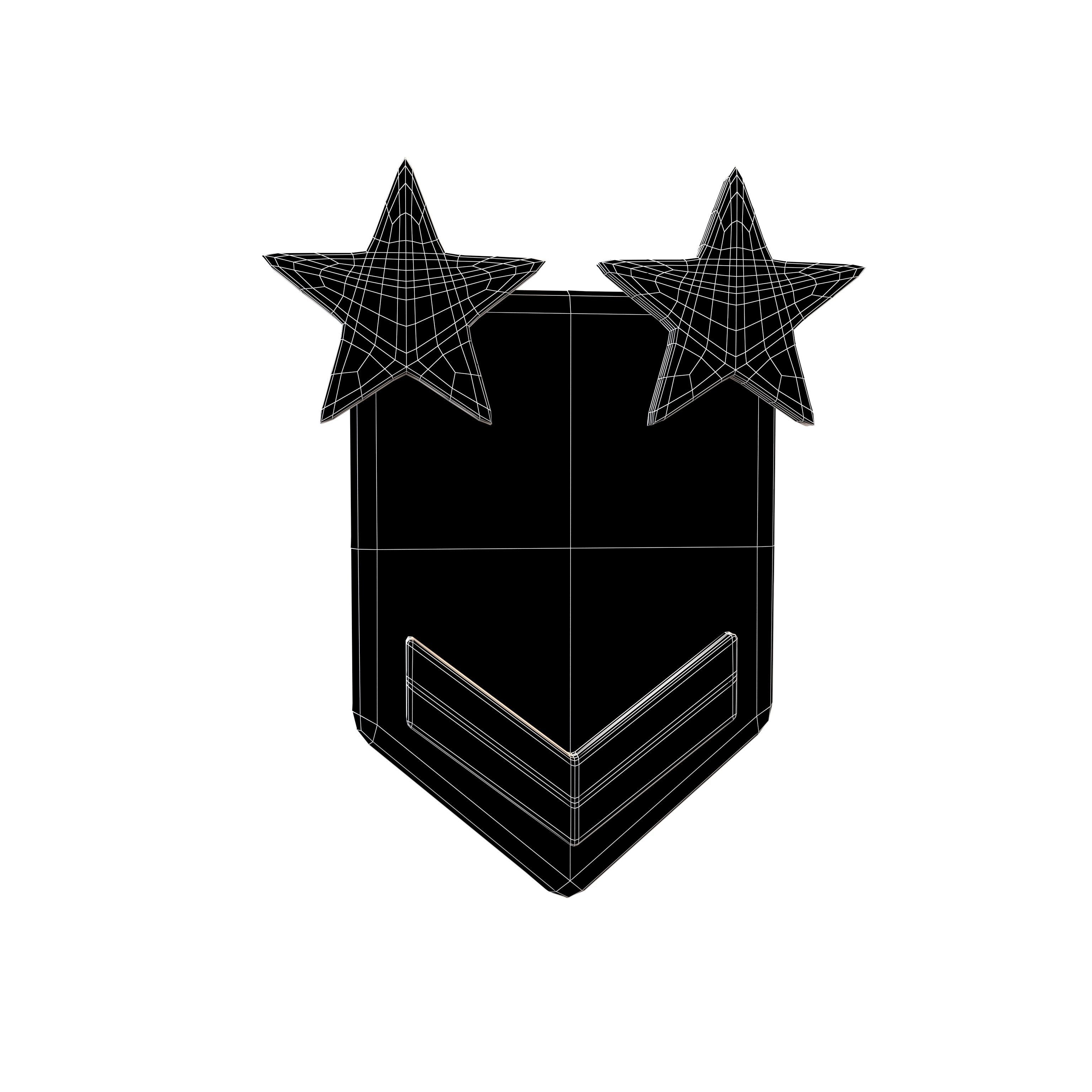 Rank Medal v10 002 Low-poly 3D model_4