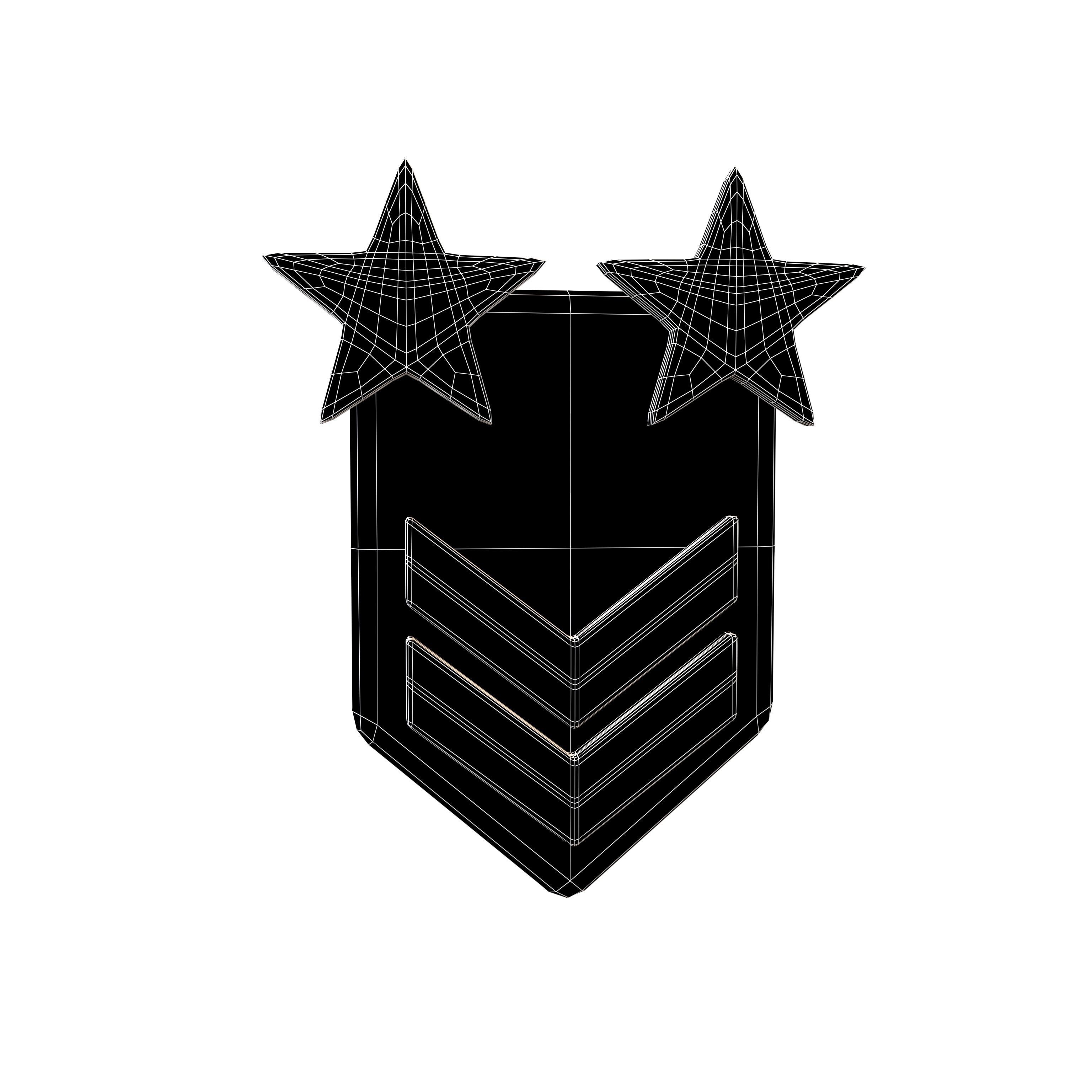 Rank Medal v11 003 Low-poly 3D model_6